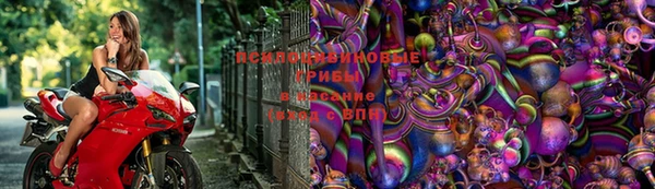 гидропоника Елизово